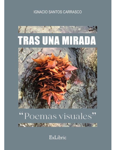 Tras una mirada. Poemas visuales