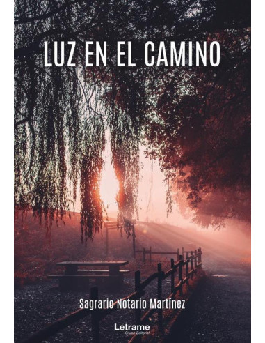 Luz en el camino