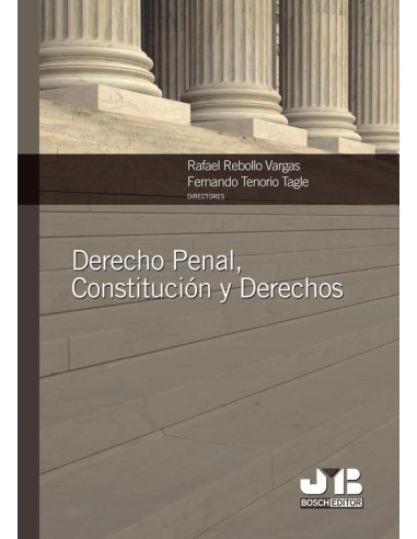 Derecho Penal, Constitución y Derechos