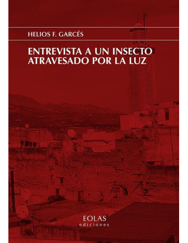 Entrevista a un insecto atravesado por la luz