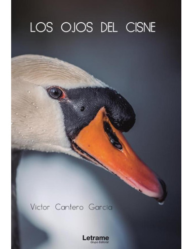 Los ojos del cisne