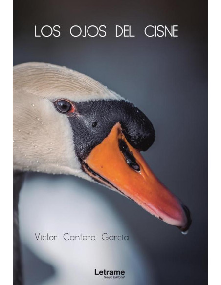 Los ojos del cisne