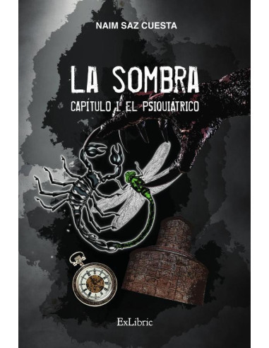 La Sombra. Capítulo I: el psiquiátrico