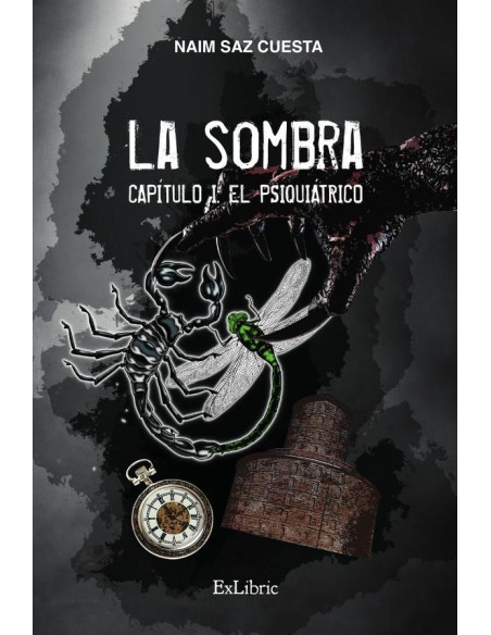 La Sombra. Capítulo I: el psiquiátrico