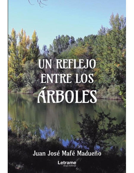 Un reflejo entre los árboles