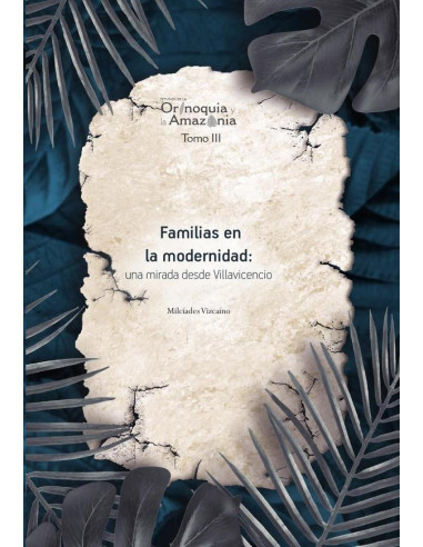 Familias en la modernidad: una mirada desde Villavicencio - Orinoquia Tomo 3