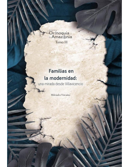 Familias en la modernidad: una mirada desde Villavicencio - Orinoquia Tomo 3