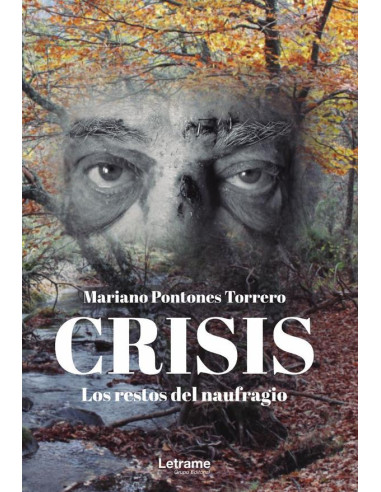 Crisis. Los restos del naufragio