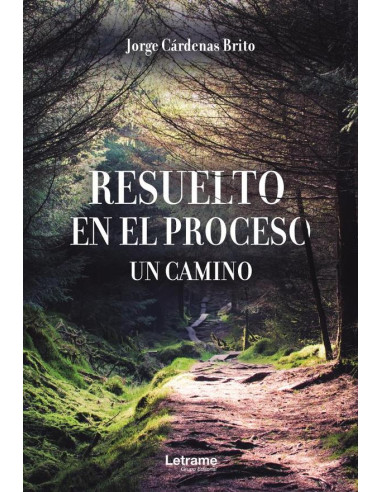 Resuelto en el proceso. Un camino