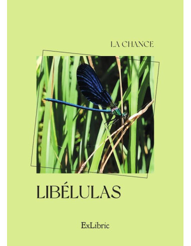 Libélulas