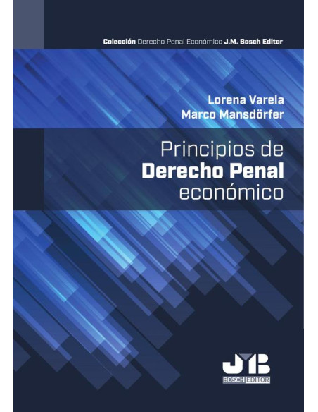 Principios de Derecho Penal Económico