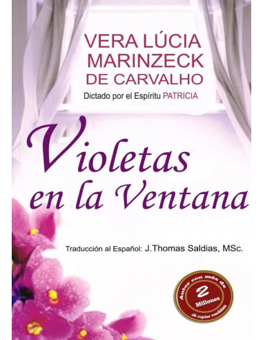 Violetas en la Ventana