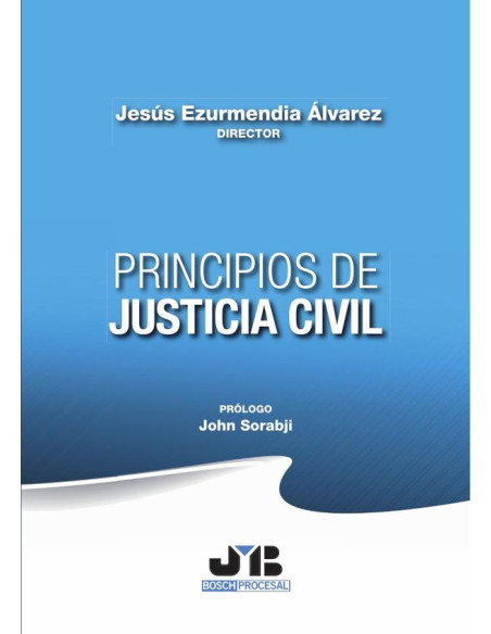 Principios de Justicia Civil