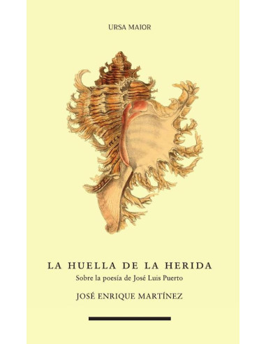 La huella de la herida:Sobre la poesía de José Luis Puerto