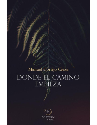 Donde el camino empieza