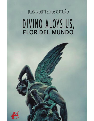 Divino Aloysius, flor del mundo