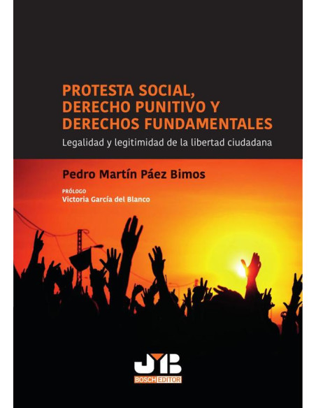 Protesta social, Derecho punitivo y derechos fundamentales:Legalidad y legitimidad de la libertad ciudadana