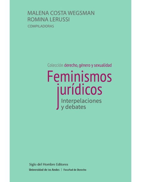 Feminismos jurídicos.:Interpelaciones y debates