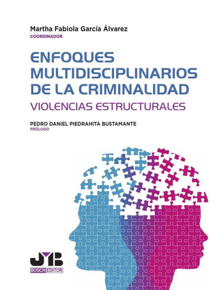 Enfoques multidisciplinarios de la criminalidad:Violencias estructurales