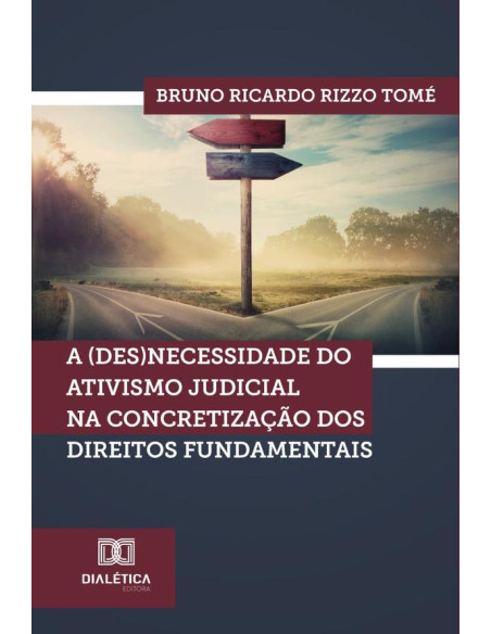 A (des)necessidade do ativismo judicial na concretização dos direitos fundamentais