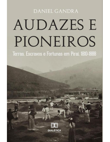 Audazes e Pioneiros:terras, escravos e fortunas em Piraí, 1810-1888