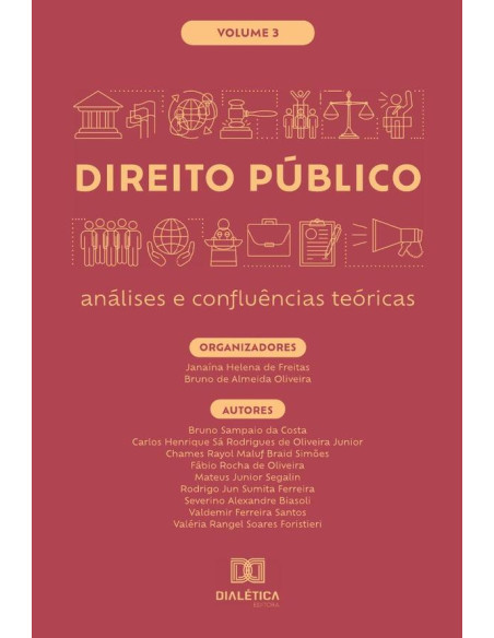 Direito Público - análises e confluências teóricas:Volume 3