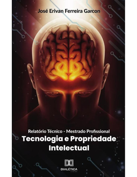 Relatório Técnico - Mestrado Profissional:Tecnologia e Propriedade Intelectual