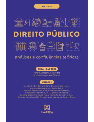 Direito Público - análises e confluências teóricas:Volume 1