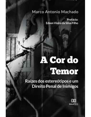 A Cor do Temor:raízes dos estereótipos e um Direito Penal de Inimigos