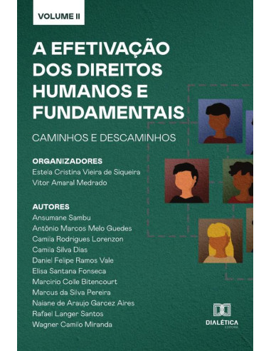 A efetivação dos Direitos Humanos e Fundamentais - caminhos e descaminhos:Volume 2