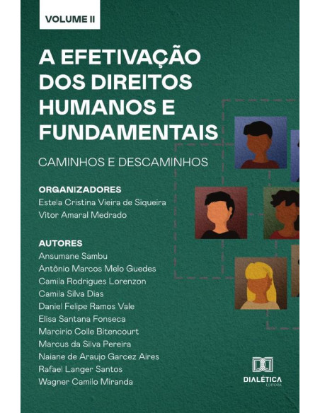 A efetivação dos Direitos Humanos e Fundamentais - caminhos e descaminhos:Volume 2