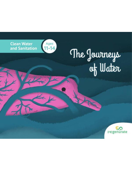 The Journeys Of Water