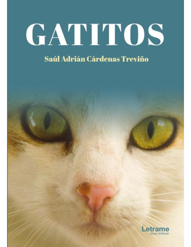 Gatitos