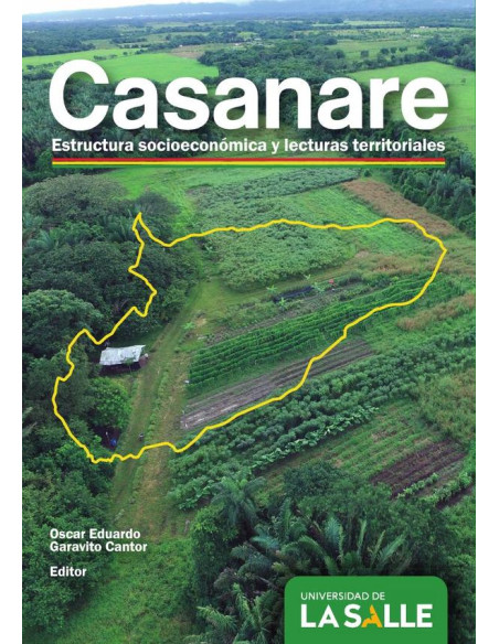 Casanare:Estructura socioeconómica y lecturas territoriales