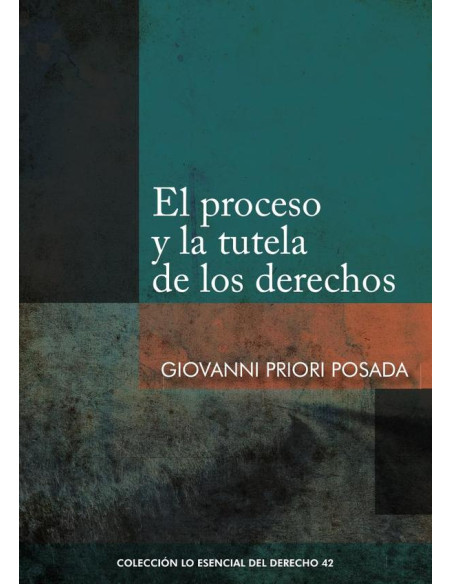 El proceso y la tutela de los derechos 