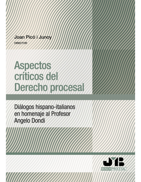 Aspectos críticos del Derecho procesal:Diálogos hispano-italianos en homenaje al Profesor Angelo Dondi