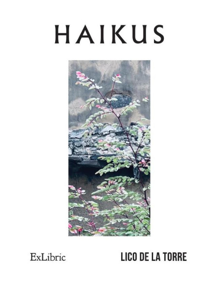 Haikus