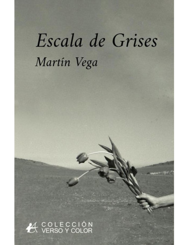 Escala de grises