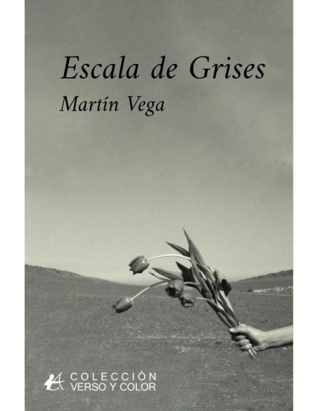 Escala de grises