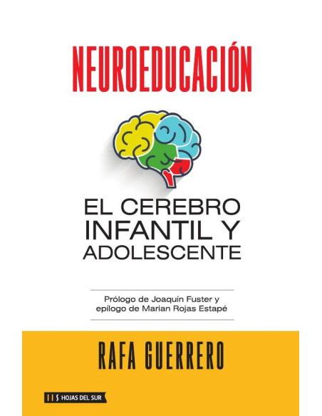 Neuroeducación: El cerebro infantil y adolescente