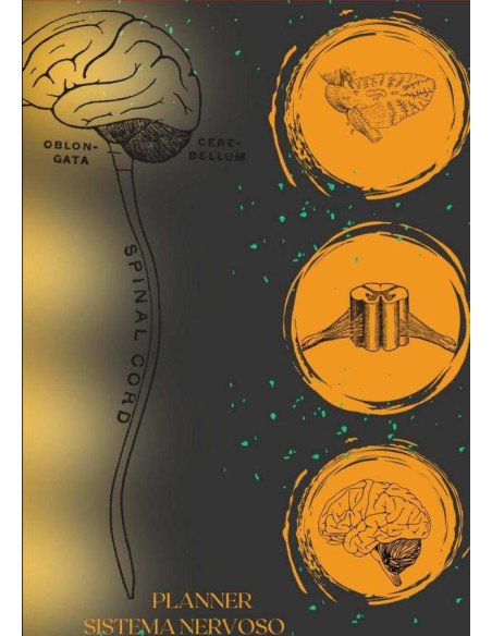 Planner - Sistema Nervoso