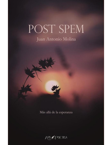 Post Spem:Más allá de la esperanza