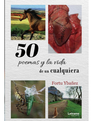 50 Poemas y la vida de un cualquiera