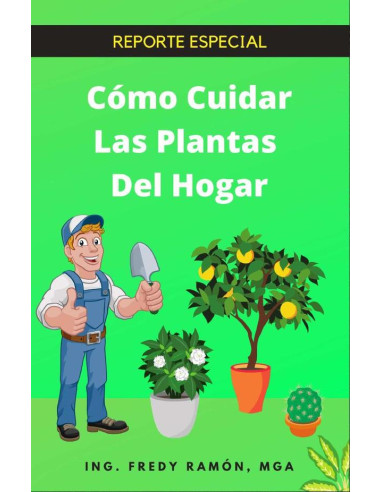 Co´mo Cuidar las Plantas del Hogar