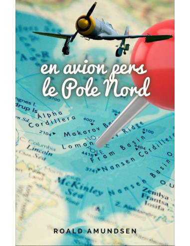 En avion pers le Pole Nord