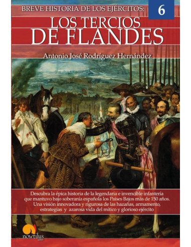 Breve historia de los Tercios de Flandes N. E.:Ejércitos 6