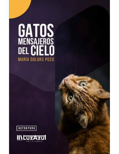 Gatos mensajeros del cielo