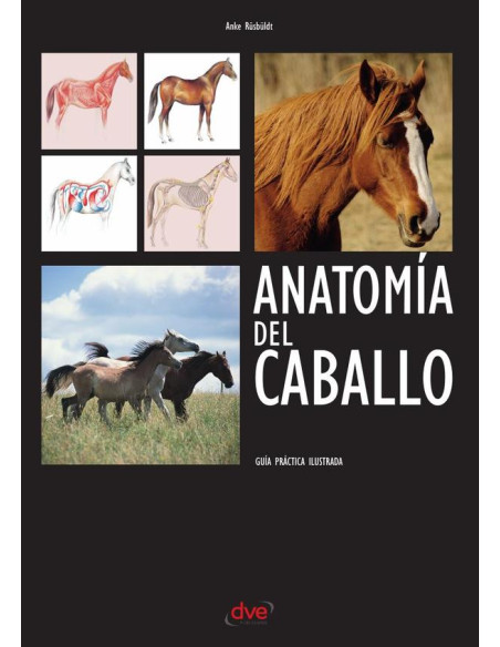 Anatomía del caballo