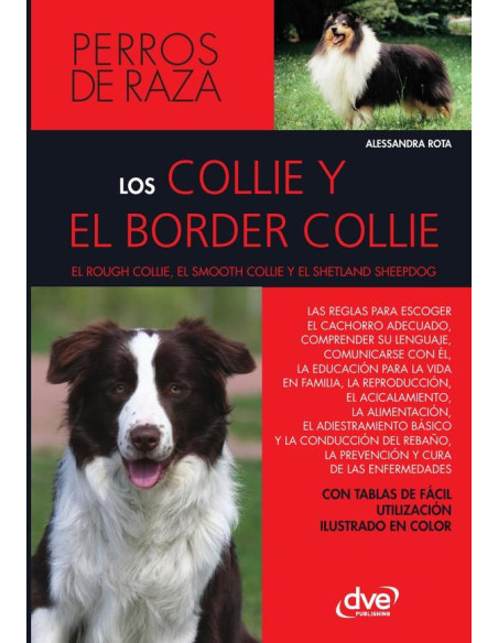 Los collie y el border collie