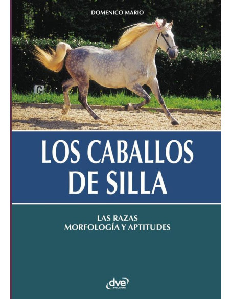 Los caballos de silla